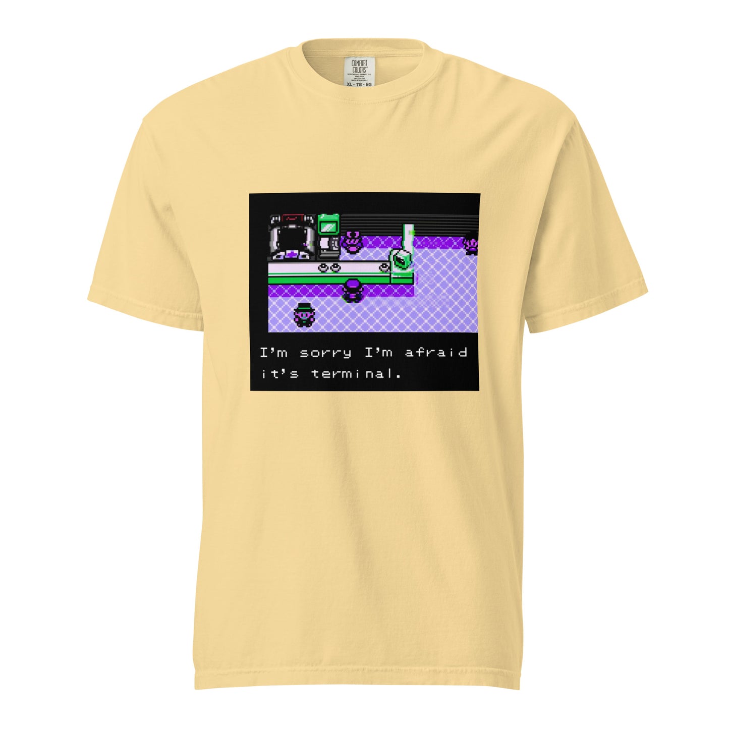 I'm Afraid It's Terminal — Unisex garment-dyed heavyweight t-shirt