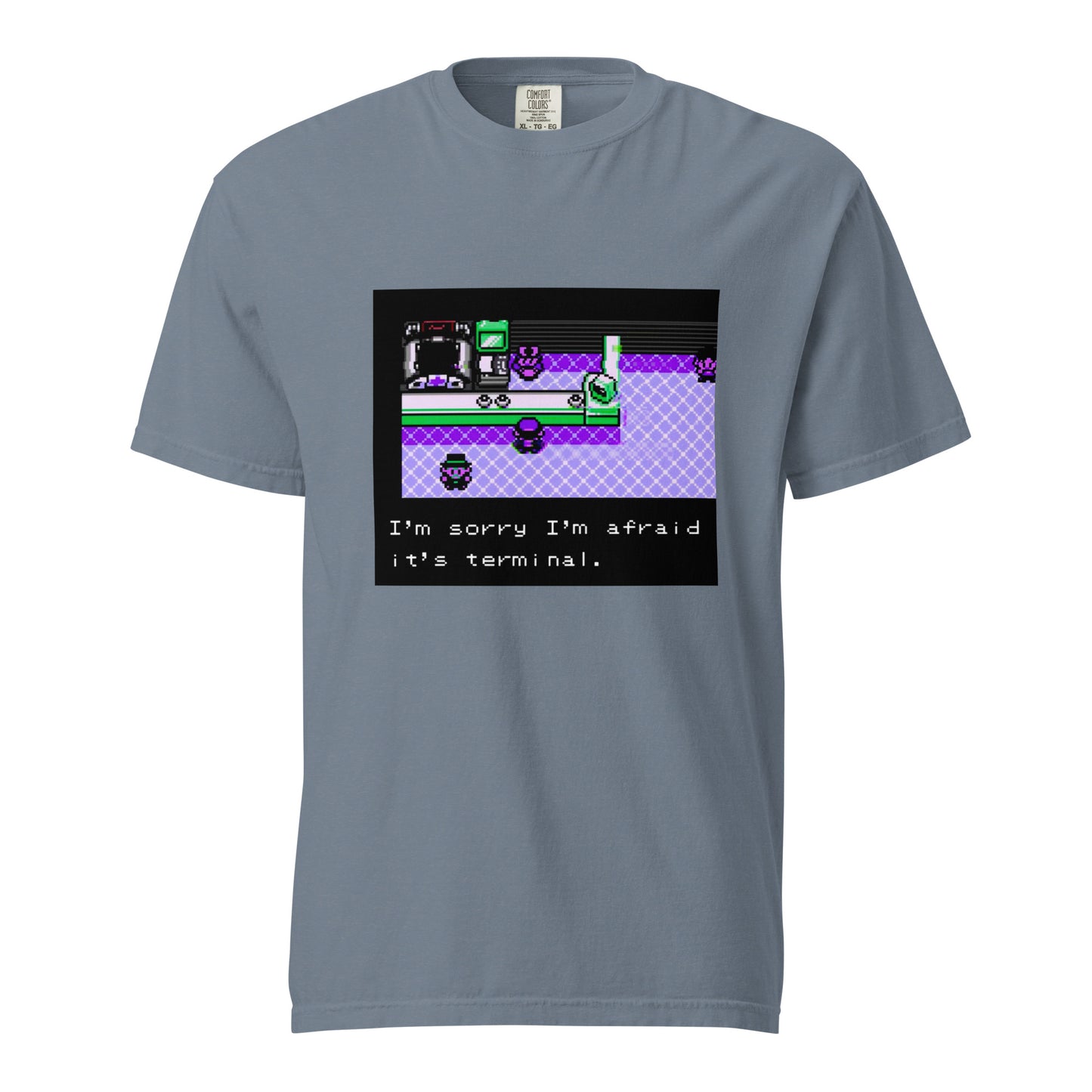 I'm Afraid It's Terminal — Unisex garment-dyed heavyweight t-shirt